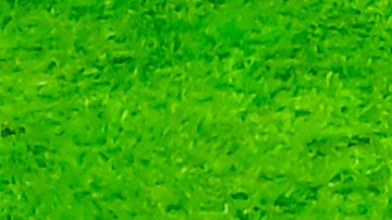 Jonathan Rodríguez.