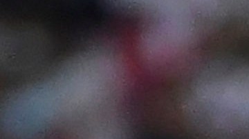 Miguel Layún, defensa del Club América durante el Torneo Clausura 2022 de la Liga MX.