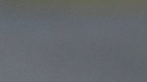 Águilas del América