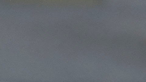 Águilas del América