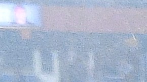 Las Águilas del América vinieron de menos a más en el Torneo Clausura 2022.