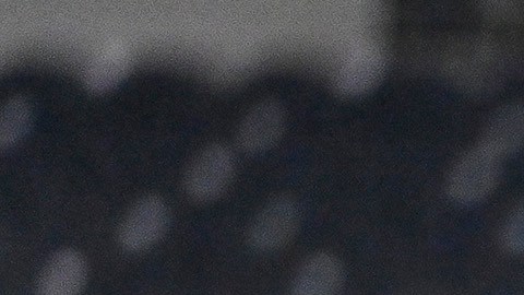 Marcelo Flores