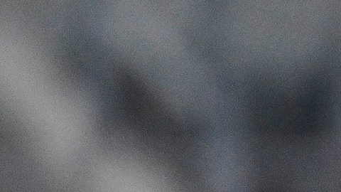 Diego Lainez