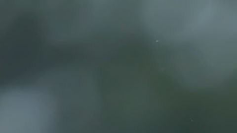 Cruz Azul cayó en Yucatán.