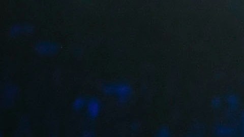Golovkin y Canelo se enfrentarán por tercera ocasión en la T-Mobile Arena.