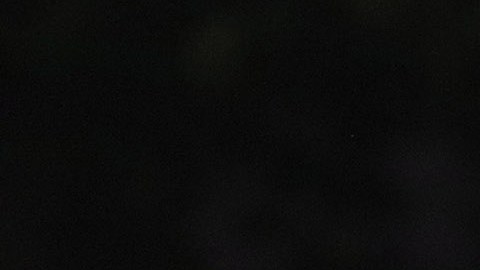 Norma Palafox durante su etapa con Chivas.