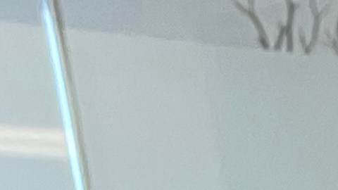 José Luis Noriega logra su residencia permanente por medio de su hija Jazmin y su padre, Jose Noriega. (Cortesía Paulina Herrera)