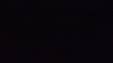 Kellogg organización