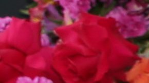 Lili Estefan y Raúl de Molina, conductores de El Gordo y La Flaca.