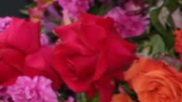 Lili Estefan y Raúl de Molina, conductores de El Gordo y La Flaca.