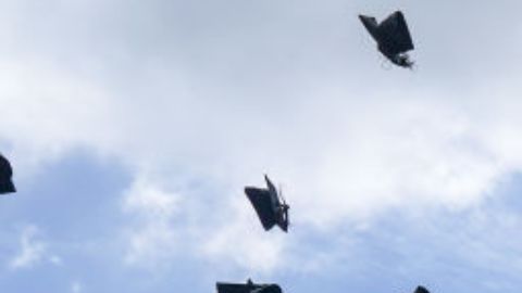 Mamás de Long Island enloquecen en la fiesta de graduación de sus hijos se drogan, defecan y besan a alumnos