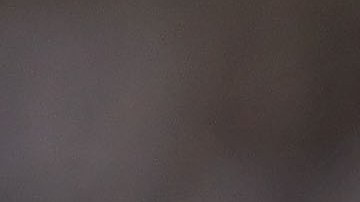 Marion Barber uniformado con los Dallas Cowboys.