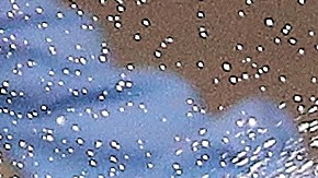 Max Verstappen y Checo Pérez celebran en Mónaco.