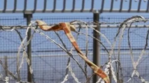 Ceuta y Melilla son la única frontera terrestre entre África y la Unión Europea.