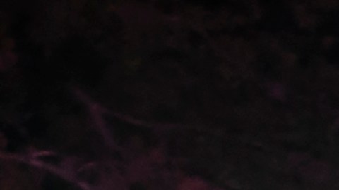 Migrantes encontrados muertos dentro de un camión en Texas rociados con condimento para carne para ocultar el olor bajo altas temperaturas