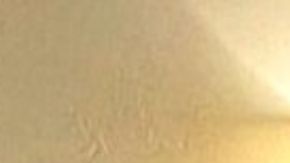 Mujer da a luz a su nieto en Utah