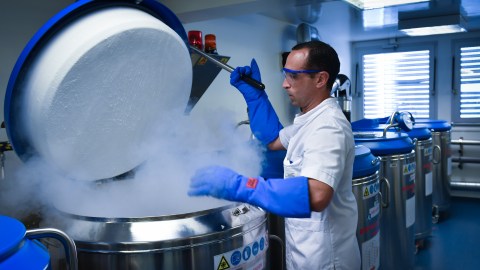 Novedoso tratamiento contra el cáncer obtuvo 100% de éxito en 18 pacientes probados que entraron en remisión