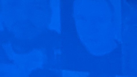 Grupo de nicaragüenses manifestándose afuera del Centro de Convenciones de Los Ángeles. (Jacqueline García/La Opinión)