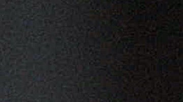 Pandilla de monos roban y matan a un bebé de un mes a una madre que lo amamantaba