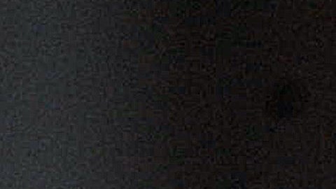 Pandilla de monos roban y matan a un bebé de un mes a una madre que lo amamantaba