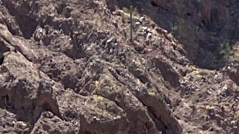 Phoenix Arizona