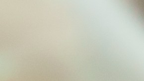 Plantas para tener en casa