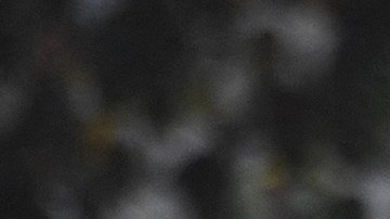Sadio Mane