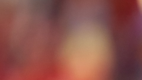 La selección de España de fútbol.