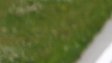 Sergio Checo Perez