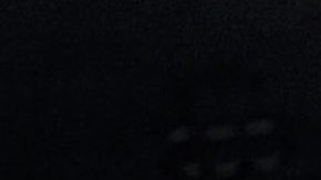 Shakira, cantante colombiana.