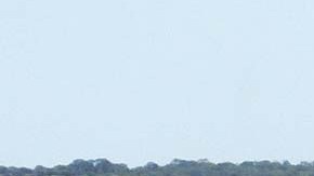 La Policía de Houston investigó el caso.