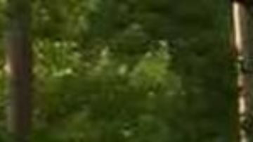 Tiroteo en iglesia de Alabama