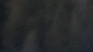 Bisonte cornea mortalmente a mujer que se acerca demasiado al animal en Yellowstone