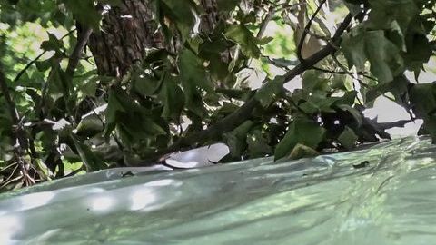 VIDEO: Soldado ucraniano apodado 'Hulk ' hace explotar tanques rusos con lanzacohetes