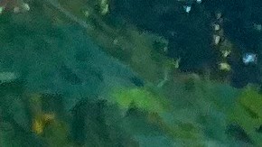 Valeria López Robles, una dreamer que se abre campo en las ciencias y en las pasarelas. (Cortesía)