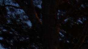 Condado de Ventura Camarillo Asesinato Homicidio