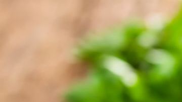 Arroz Naciones Unidas