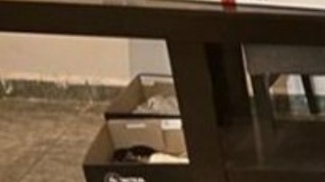 CJNG arsenal decomisado en Jalisco (1)