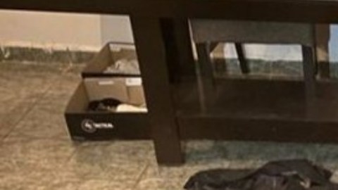 CJNG arsenal decomisado en Jalisco (1)