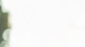 varias personas brindando con copas con vino tinto y en el fondo un hombre con barba y gafas oscuras.