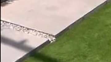 Toni Costa le escribe un corazón a Evelyn en el césped de 'La Casa de los Famosos'