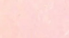 John W. Hinckley Jr.