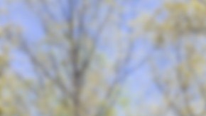 viviendas mercado inmobiliario