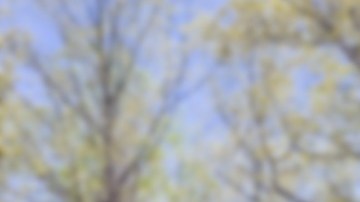 viviendas mercado inmobiliario