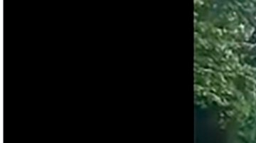 hombres armados tecoanapa. guerrero