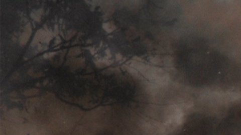 Casa en llamas que simboliza un sueño con incendio.