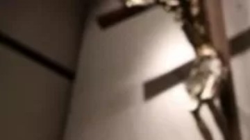 Los cuerpos de los sacerdotes asesinados y el de una tercera persona fueron robados en Chihuahua.