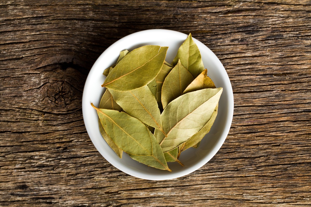 Receta casera con romero y laurel para atraer la prosperidad económica