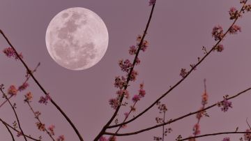 Luna nueva adornando el cielo