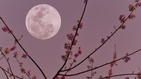 Luna nueva adornando el cielo